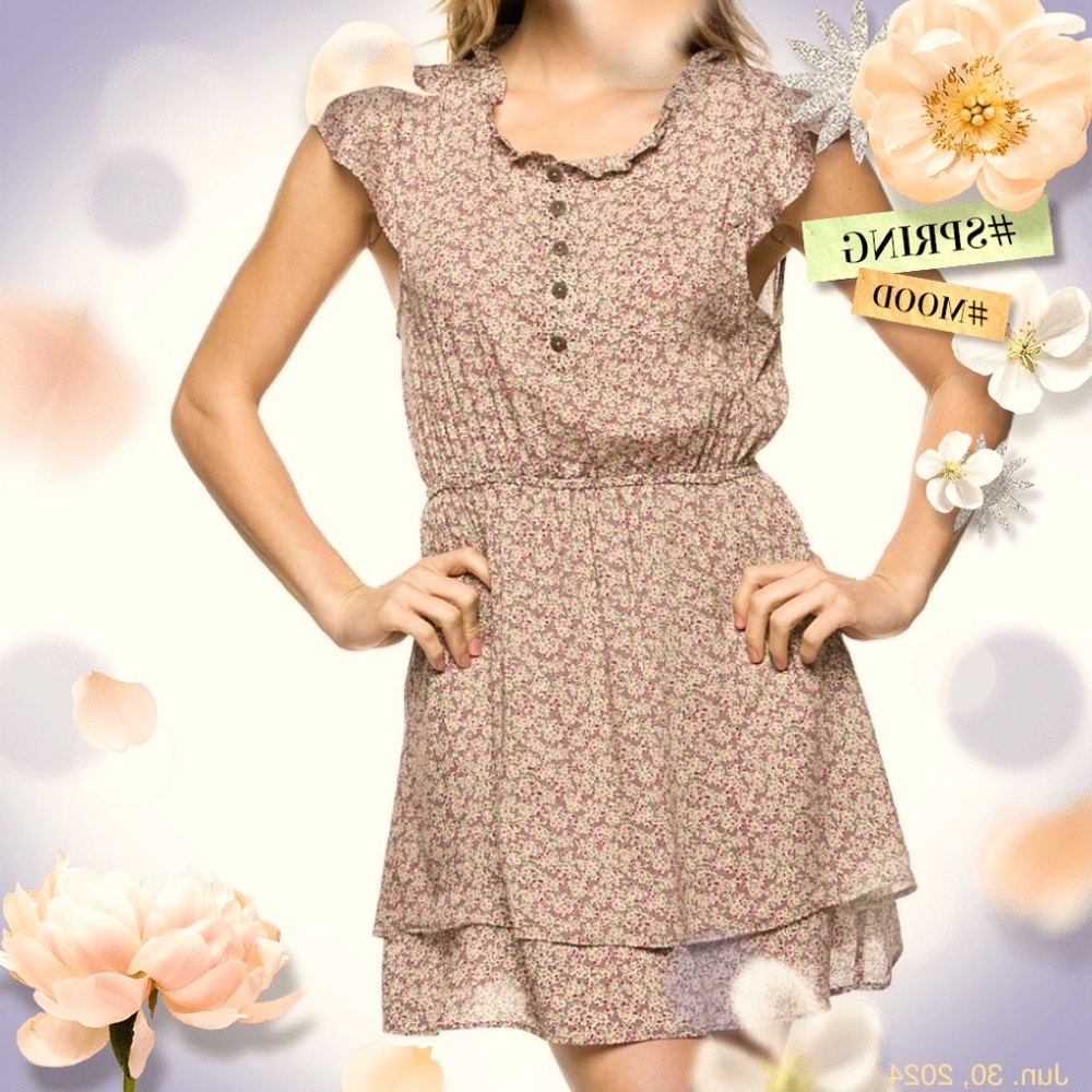 Cute Brand New Two Layers Floral Mini Dress